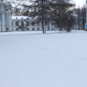 38 圣彼得堡一别，再也没见过那个爱吃红烧肉的朝鲜同志