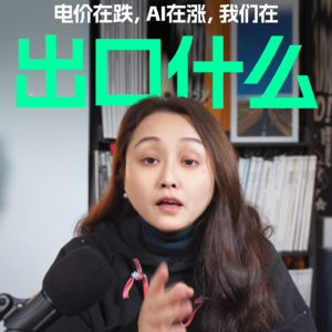 当电价在跌,AI在涨,我们在出口什么