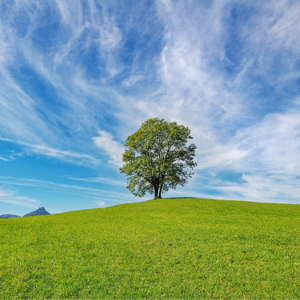 EP39 利用期权数据构建股票因子