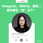 vol25. Patagonia Allbirds 素然 竟然都在“搞”这个？