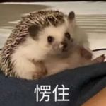 四小夕233