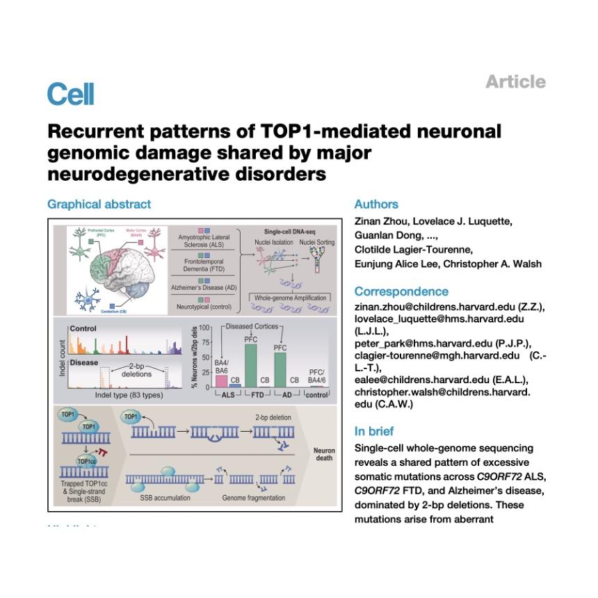 1314-Genomic Instability in Neurodegenerative Disorders episode artwork