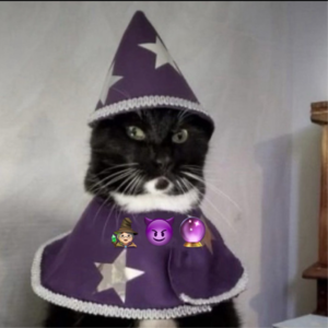 010.🎃被重新召唤的女巫