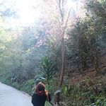 哈个不停的张哈哈