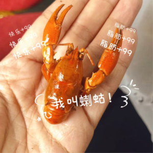 美食大跑题:好吃的是食物还是情绪?