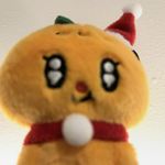 荔枝yunn