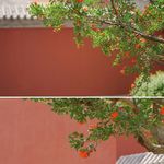 榴花斋