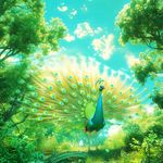 本自具足的Kelly