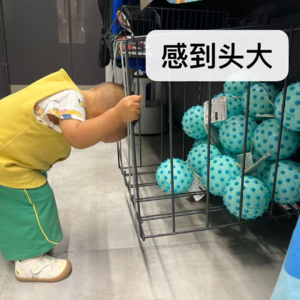 No.86 躺不平,也鸡不动,我们到底想要怎样的教育