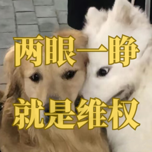 Ep8. 姐妹儿们正直勇敢有阅读量，我们怕啥！