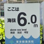 何清清