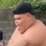 胆向恶边生