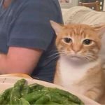 神奇鸡蛋纺纱机