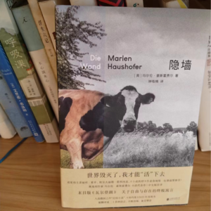 《隐墙》，一位女性在末日的生存记录