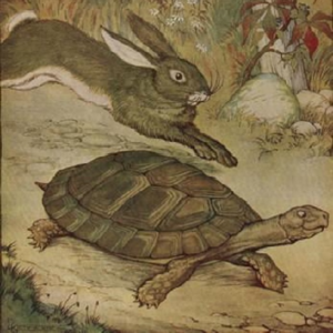 The Tortoise and the Hare 龟兔赛跑 英文绘本