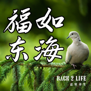 Ep024.吃一堑，不长智！不怕，让我们屡败屡战！