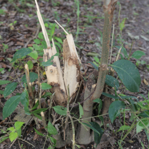 vol. 48 让暑假随风 - 下半场