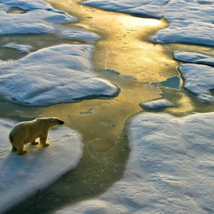 BBC Media｜目前的气候变暖是2000年来“前所未有”的
