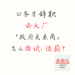 Vol.181 公务员辞职去大厂:「政府关系岗」怎么面试、谈薪?