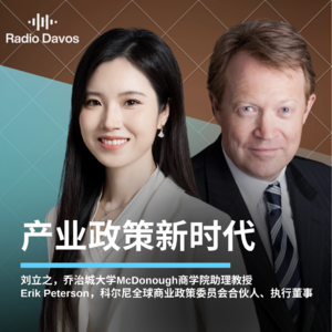 当政府重返市场:产业政策新时代