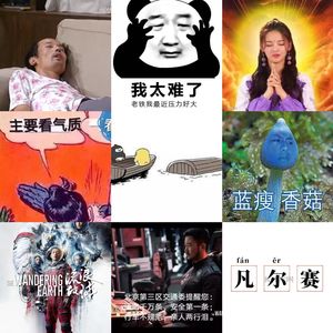 2015-2020年，“网络失语症”开始之前，藏有时代情绪的“嘴替”流行语 | 十年间的年度流行语(上)