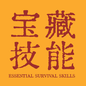 33. 藏在日常里的底气：女孩儿们的宝藏技能