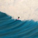 自由行走在陆地上的