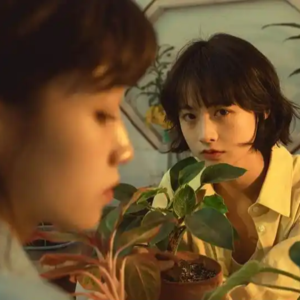 这份爱我不敢声张