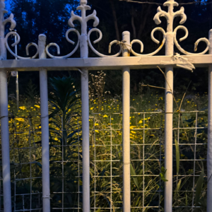 6.当然啦，一切都会好起来的