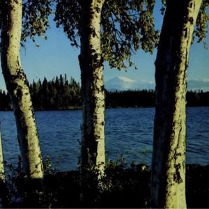 podcaster-avatar