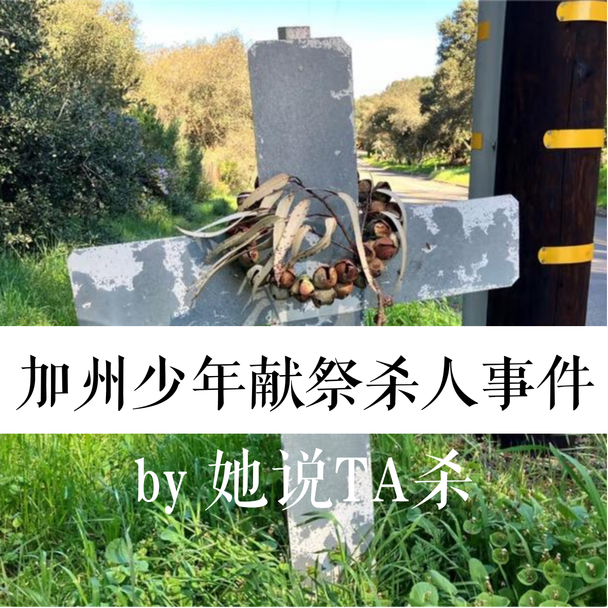 4. 献给音乐的完美祭品：加州少年杀人事件 episode artwork
