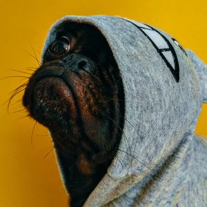 中登眼中的的生活百态 (下)：瑜伽裤外穿、社交式运动、酒桌上的服从测试...