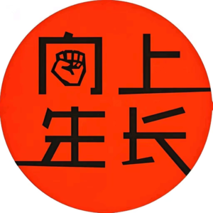 01.一个女企业家的绝地重生