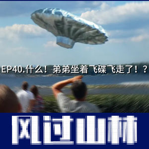 EP40.什么！弟弟坐着飞碟飞走了！？