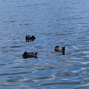 Ep.10 坤坤：城市带来的是方方面面的变化，我很庆幸没有离开北京