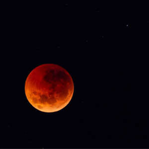 解读Metaplanet ：日版MicroStrategy表现如何？