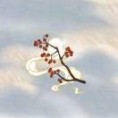 自用背书账号勿借鉴