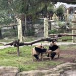 什么都有的有有