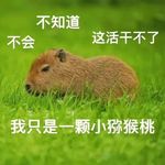 甜橘子最好味