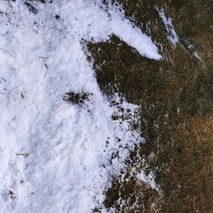 podcaster-avatar