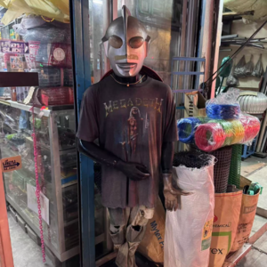 🐯10. 我的歌、回答、你的问题