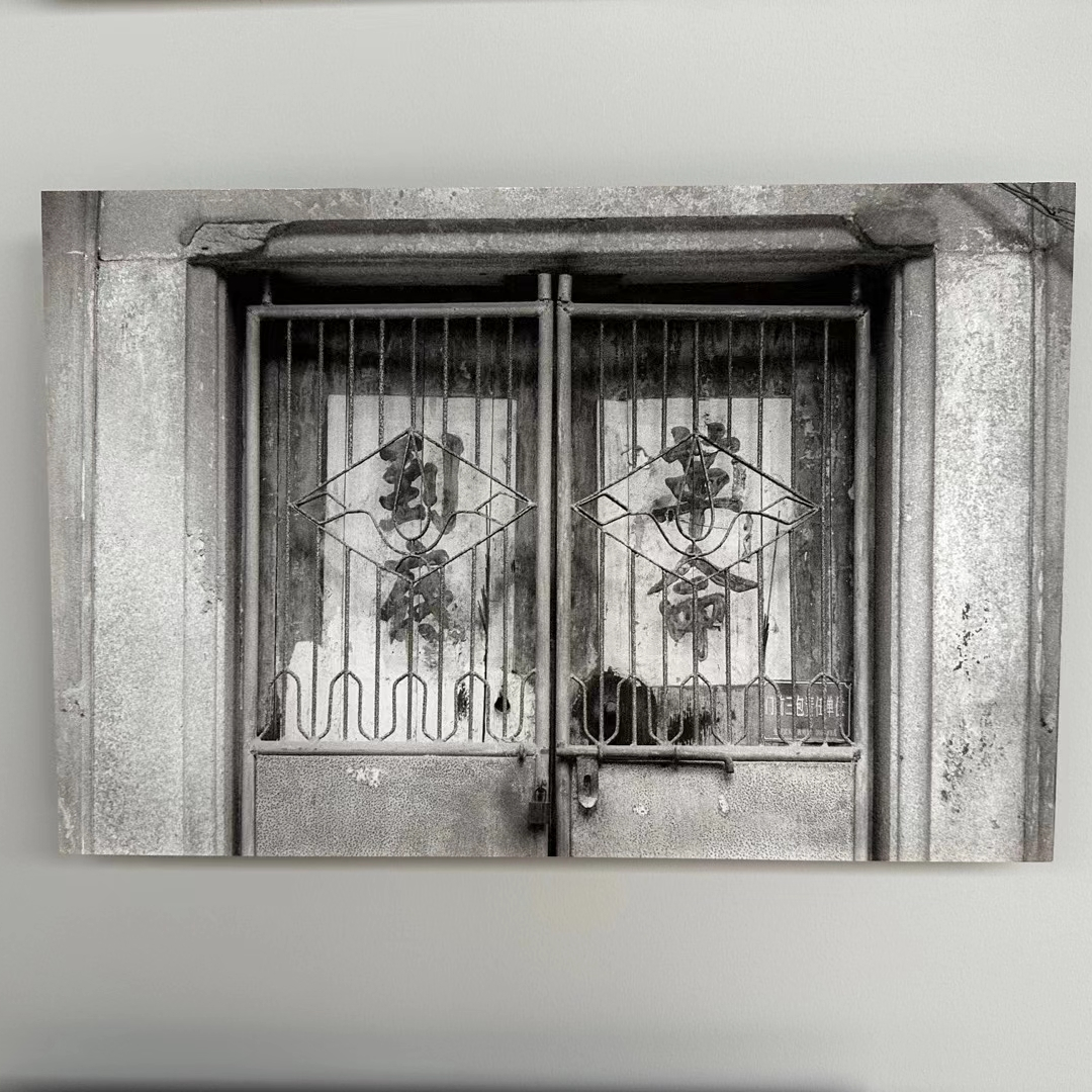 在墙缝中散步才是正经事