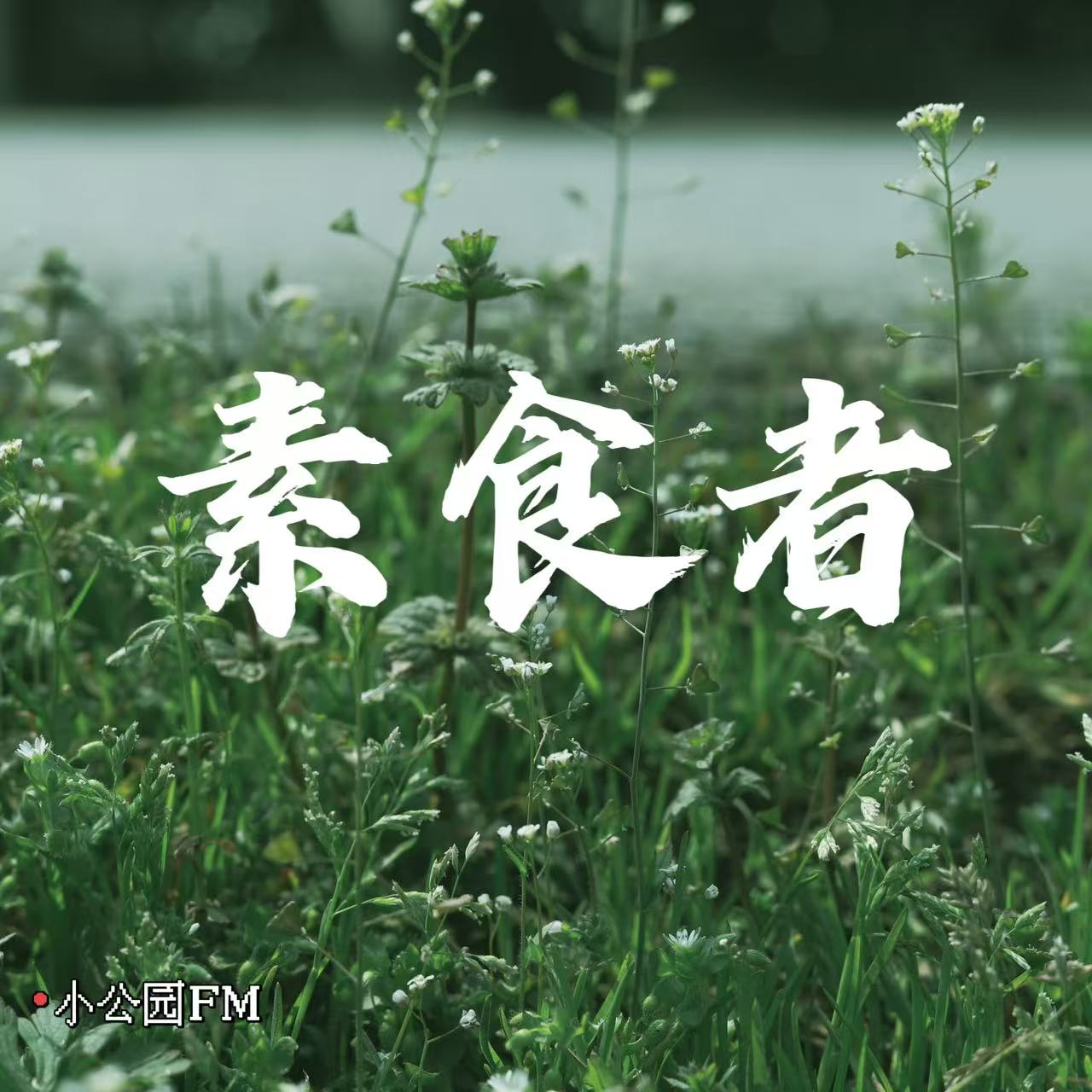 EP16-读《素食者》：一个誓死不愿再承受暴力的女性 episode artwork