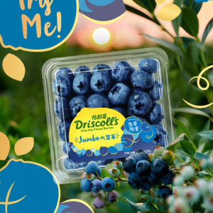 怡颗莓:入华十年,火箭式增长