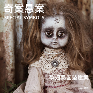 奇案悬案第二十八期：《孕妇泰国坠崖案》