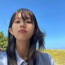 全世界都是香菜