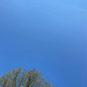 Vol.30 都2026了，来聊聊我们眼中的临床