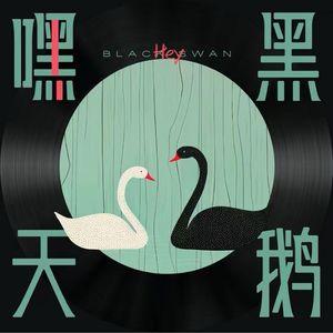 嘿黑天鹅