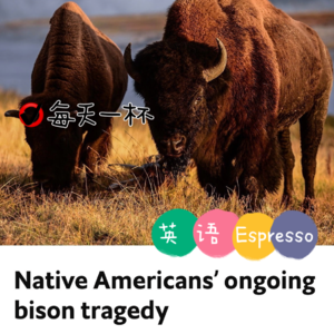 【148】北美野牛危机仍存