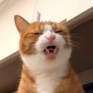 赤赤TheWeeknd